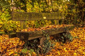 Bankje in herfstkleuren bij Simpelveld by John Kreukniet