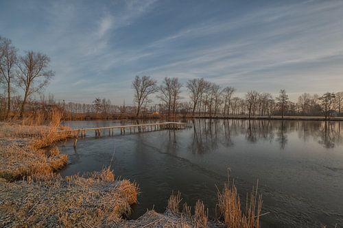 Meertje met steiger