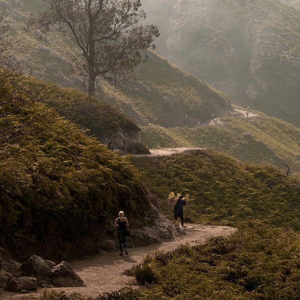 De weg naar Kawah Ijen van Sander Strijdhorst