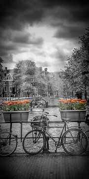 AMSTERDAM Herengracht | panorama van Melanie Viola