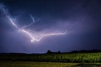 Nocturnal thunderstorm over a corn field
