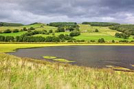 Nidderdale Idyll van Gisela Scheffbuch thumbnail