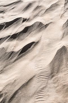 dunes de sable côtières sur eric van der eijk