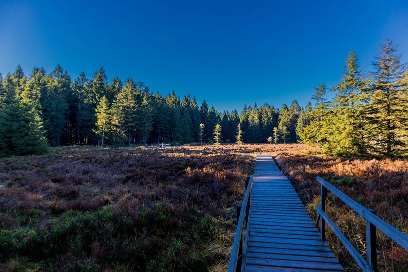 Herfstwandeling op de hoogten van het Thüringer Wald van Oliver Hlavaty