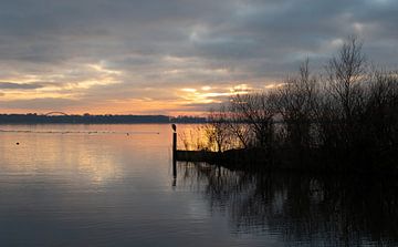 Reiger op een paaltje van Foto Studio Labie