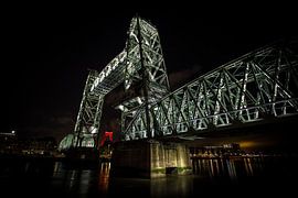 Rotterdam's historical darling the Hef by Suzanne Röpcke