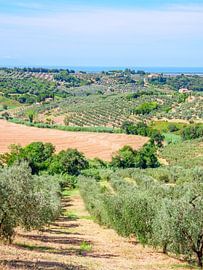 Toscane dorp en huizen
