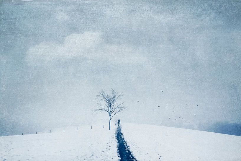 Winter Blues - Minimalist winter landscape by Dirk Wüstenhagen