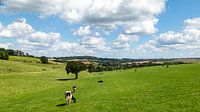 Heuvelland Südlimburg, hügelige liebliche Landschaft, Urlaubsland in den Niederlanden.
