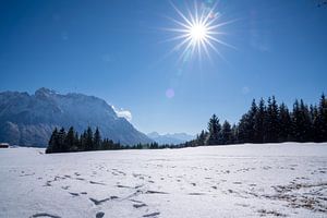 Verschneite Buckelwiesen bei Mittenwald, eingebettet in die winterliche Bergwelt der Alpen.