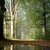Spiegeling in de mist op de Veluwe van Esther Wagensveld