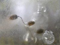 stilleven glaswerk met kaardenbollen