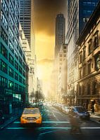 Gorge de rue à NYC