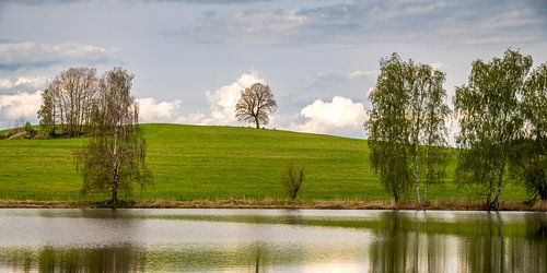 Een rustig meer met een groene heuvel en bomen