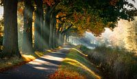 Sprookjesachtig Indian Summer