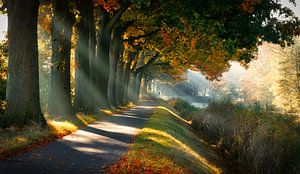 Märchenhafter Altweibersommer