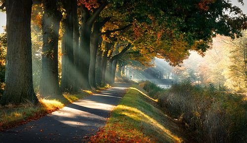 Sprookjesachtig Indian Summer