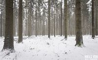 Luxemburg in sneeuwval van Niels Van der Borght thumbnail