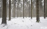 Snow in Luxembourg