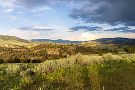 Yellowstone in the evening by Annemie Hermse-Kouwenberg