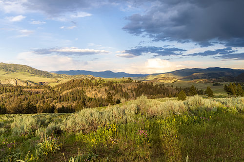 Yellowstone in the evening