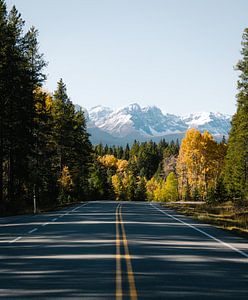 Roads in the Canadian Rockies