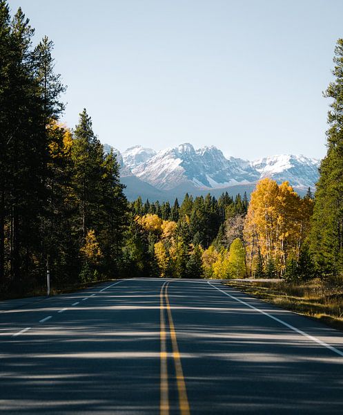 Roads in the Canadian Rockies von swc07
