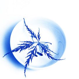 Delftsblauwe Tegel - 41 by Mariska van Vondelen