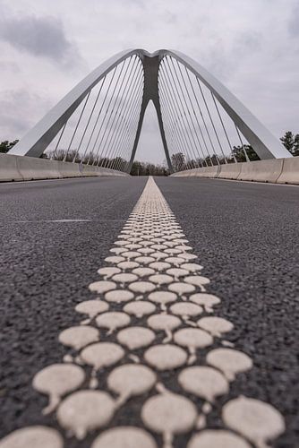 Brug over Albertkanaal.