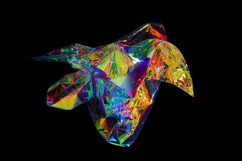 Cellophane coloré, fond noir par Noud de Greef