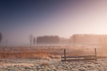 Misty Morning at Leidschendam - 3 van Damien Franscoise