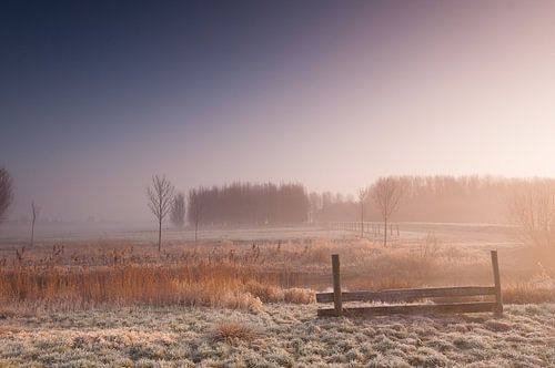 Misty Morning at Leidschendam - 3