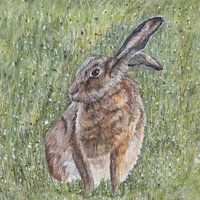 Hase auf der Wiese, Ölpastell