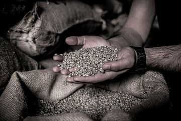 Coffee roastery (craft in close-up)