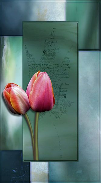 Tulips on green by Carla van Zomeren