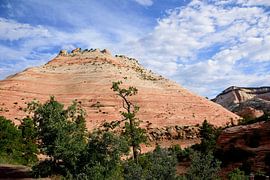 Really standing out by Frank's Awesome Travels