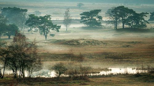 Uitzicht over het Laarder Wasmeer