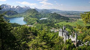 Mountainous Landscape with Lake, Trees and Castle, Nature Panorama Photo