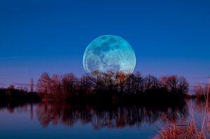 Luna arborum a tergo von Michael Nägele