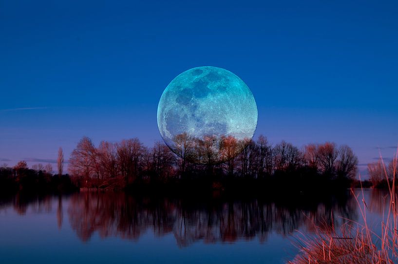 Luna arborum a tergo van Photoart-Naegele
