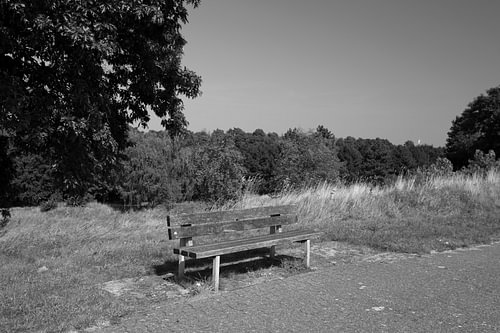 Ontdek de natuur in een bosrijk gebied in Emsland, Nedersaksen, Duitsland