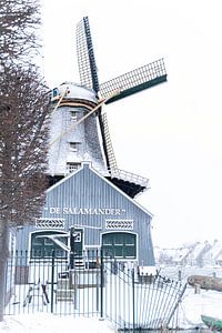 De Salamander Leidschendam im Schnee