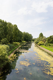 Flusslandschaft im Naturschutzgebiet Kühkopf, Hessen von Andreas Freund