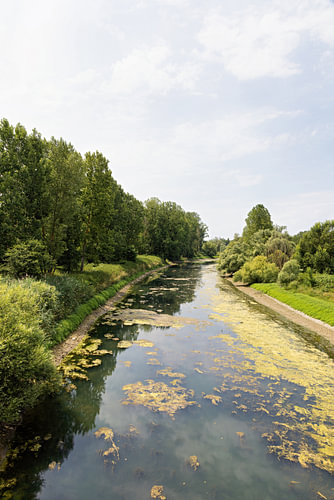 Rivierlandschap in het natuurreservaat Kühkopf, Hessen