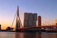 Zonsopgang Erasmusbrug, Rotterdam van Paul Schlüter thumbnail