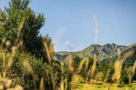 Gebergte in de Auvergne