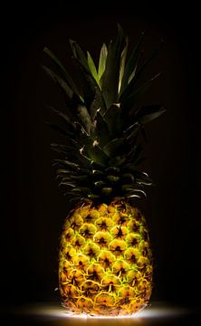 Ananas, Wieteke de Kogel van 1x