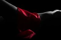 Red sensual - naakt vrouwen lichaam in zwart-wit 