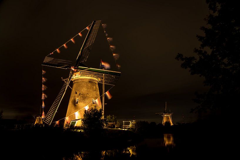 Kinderdijk in Holland van Marcel Derweduwen