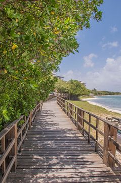 Strand bij  Oranjestad Aruba van Bianca Kramer